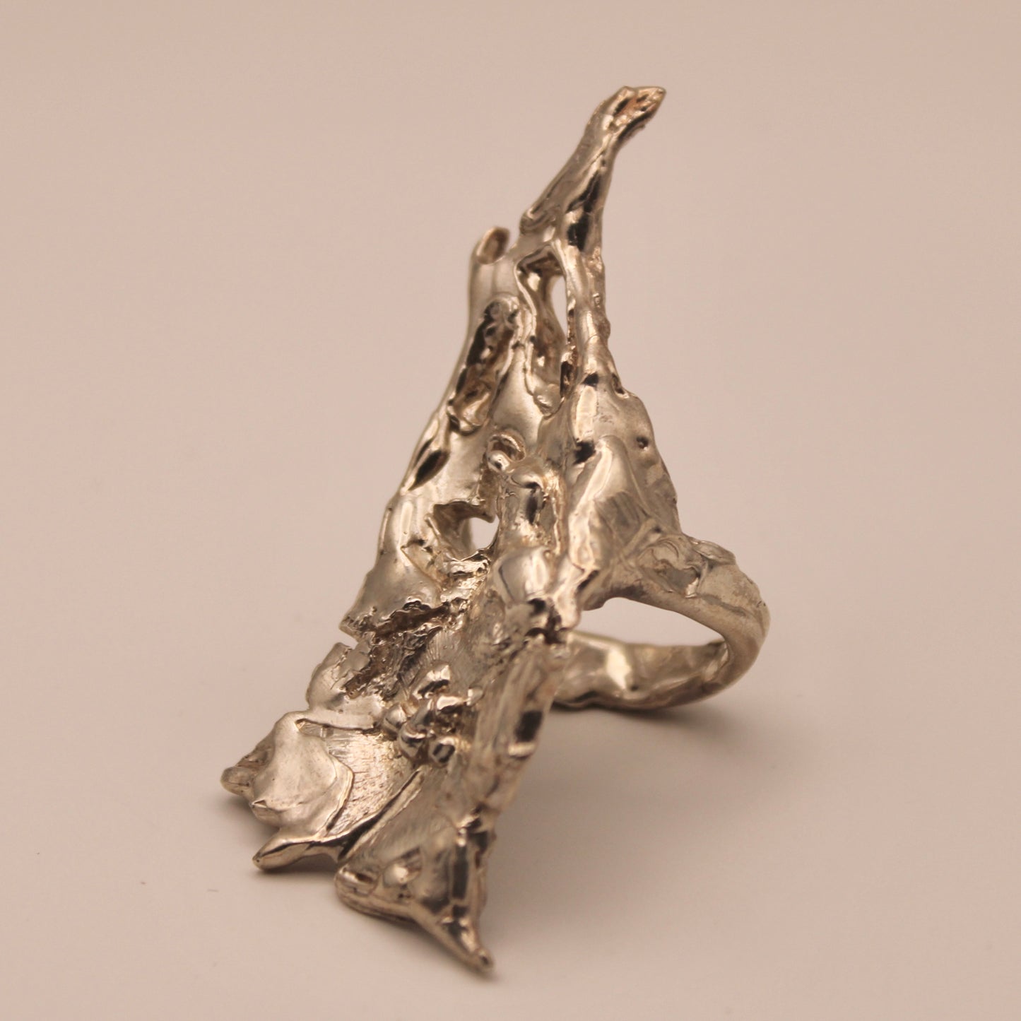 Cruyna Ring